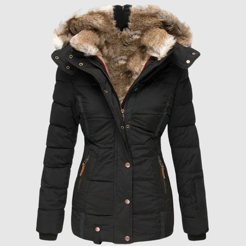 EB | Arctic Hooded Jacket