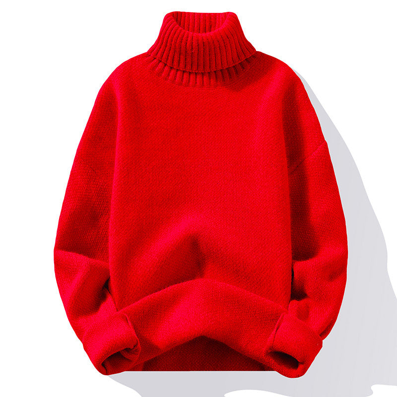 EB | Rollkragenpullover Strick
