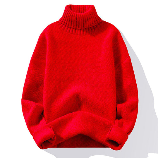 EB | Rollkragenpullover Strick