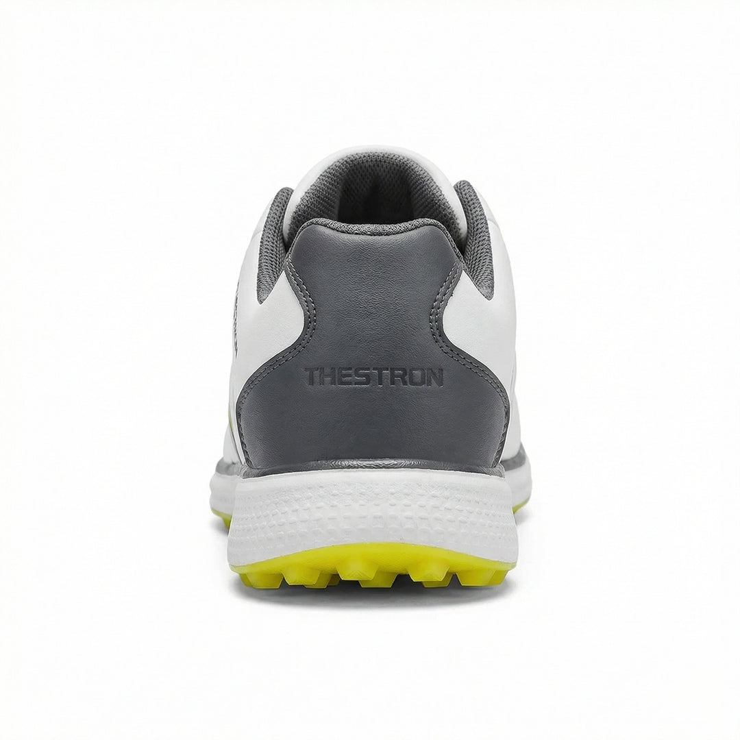 Professionelle Golfschuhe EB