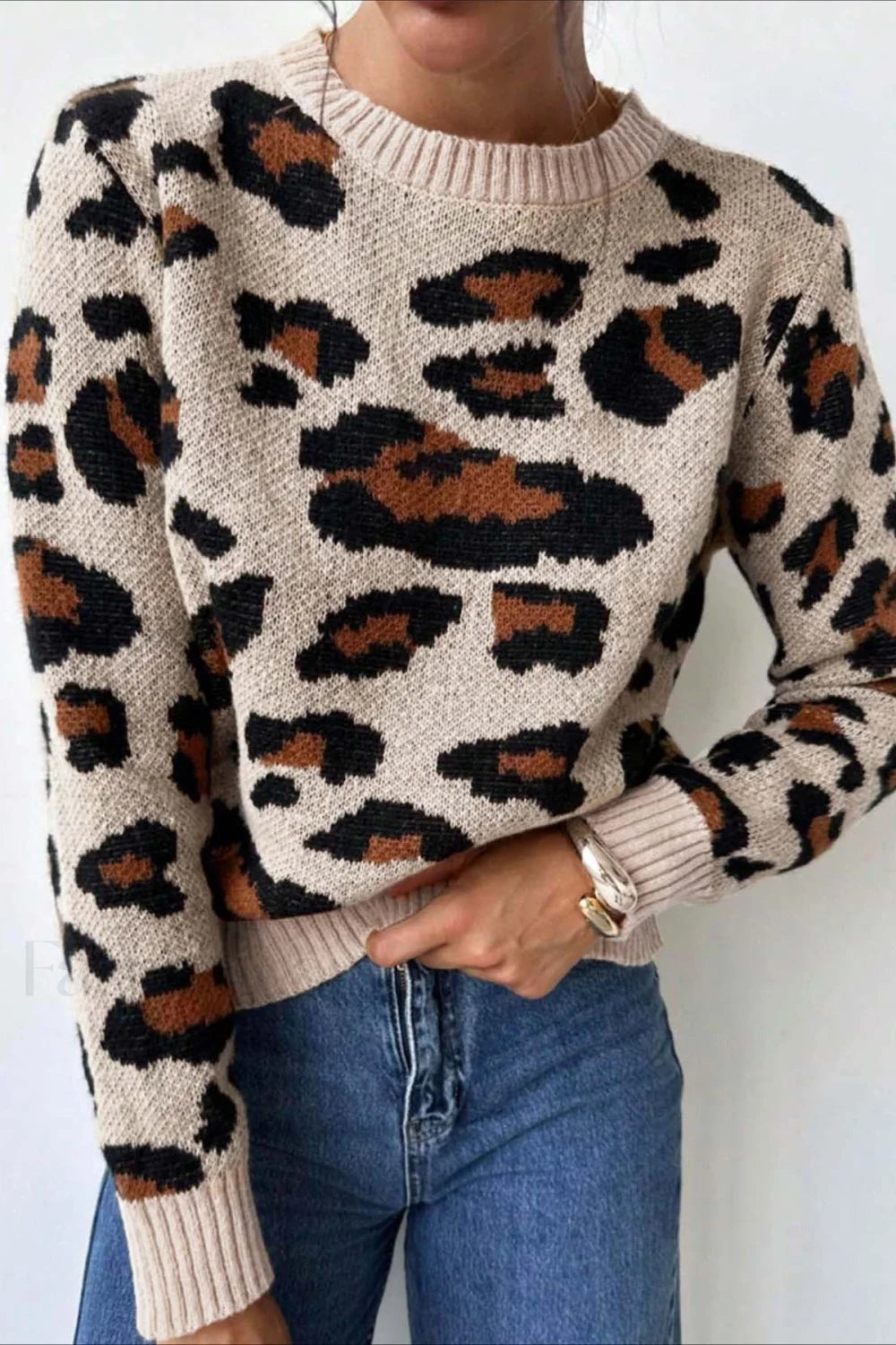 EB | Pullover mit Rundhalsausschnitt und Leopardenmuster in Blockfarben