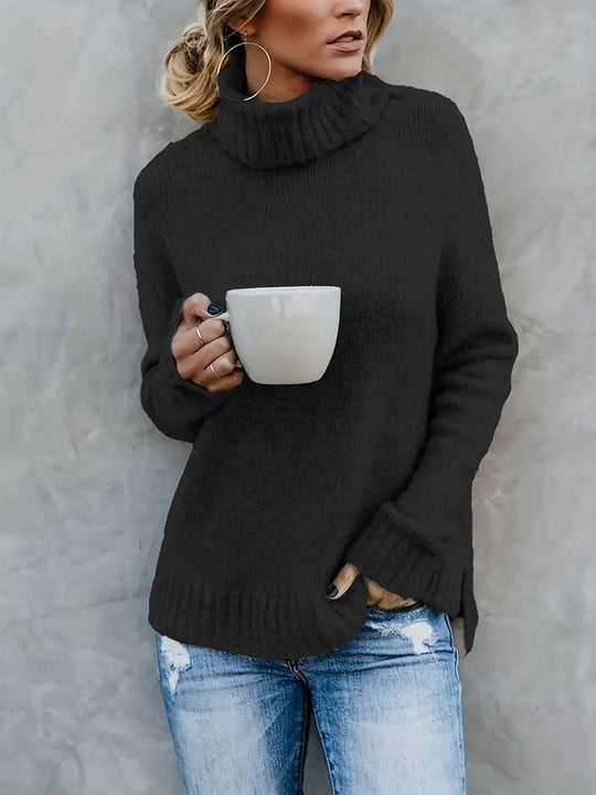 EB | Pullover mit Rollkragenpullover