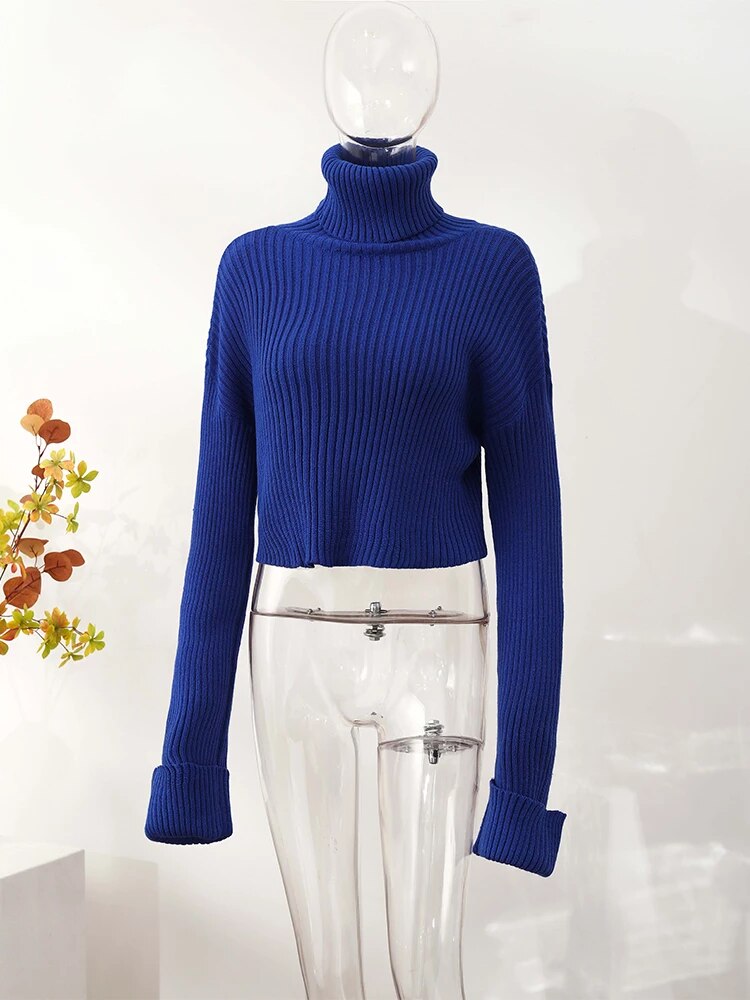 EB | Damen Klassischer Rollkragenpullover