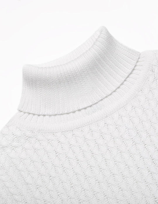 EB | Freizeit Strick Herren Rollkragenpullover