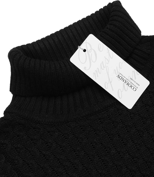 EB | Freizeit Strick Herren Rollkragenpullover