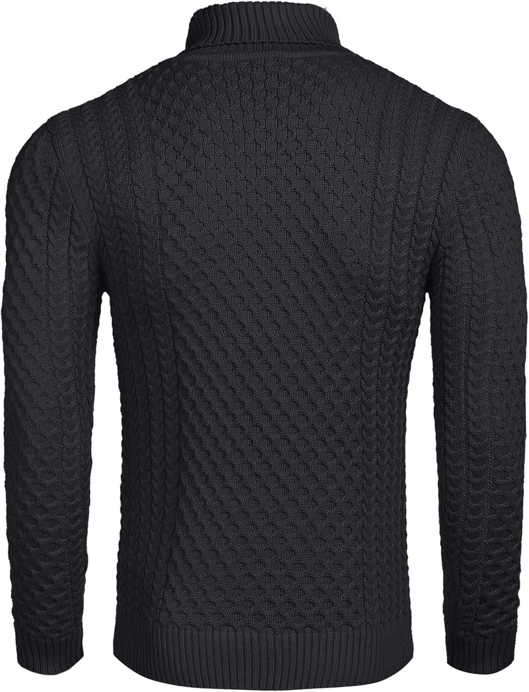 EB | Freizeit Strick Herren Rollkragenpullover