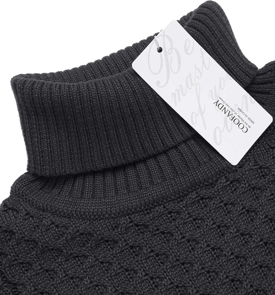 EB | Freizeit Strick Herren Rollkragenpullover
