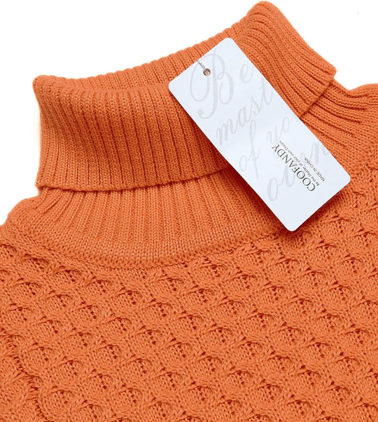 EB | Freizeit Strick Herren Rollkragenpullover