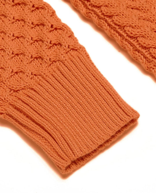 EB | Freizeit Strick Herren Rollkragenpullover