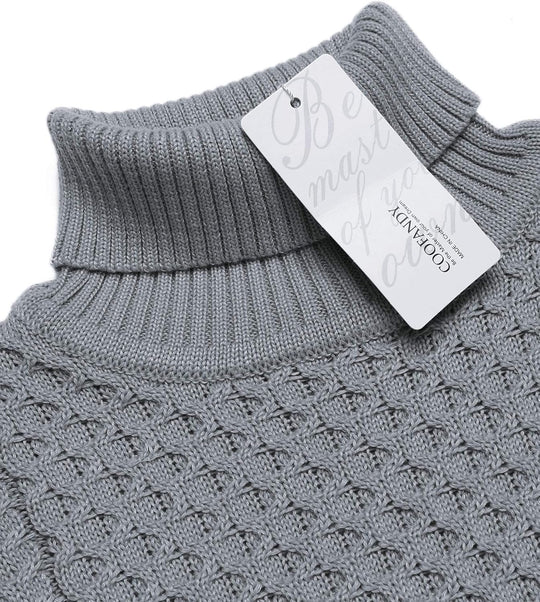 EB | Freizeit Strick Herren Rollkragenpullover