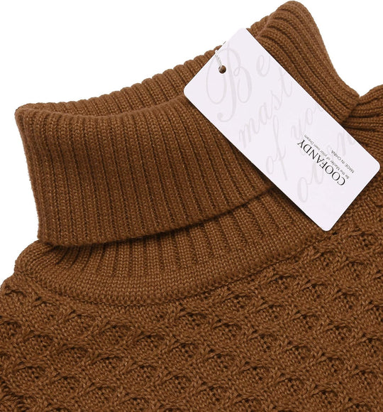 EB | Freizeit Strick Herren Rollkragenpullover