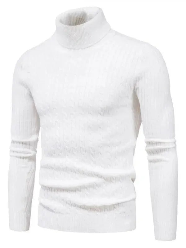 EB | Border Slim Fit Rollkragenpullover Herren