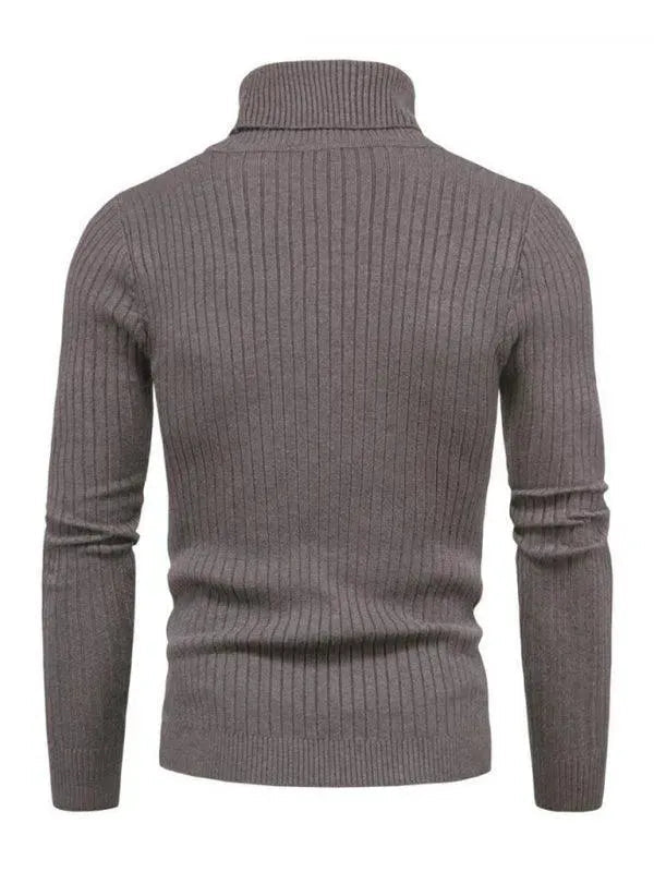 EB | Border Slim Fit Rollkragenpullover Herren