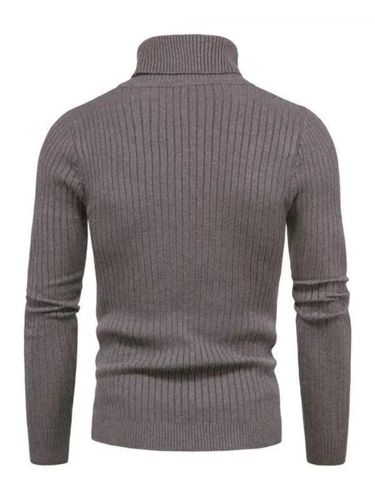 EB | Border Slim Fit Rollkragenpullover Herren