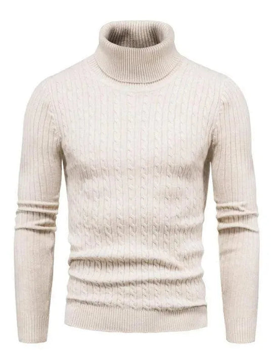 EB | Border Slim Fit Rollkragenpullover Herren