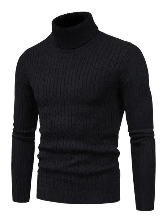 EB | Border Slim Fit Rollkragenpullover Herren