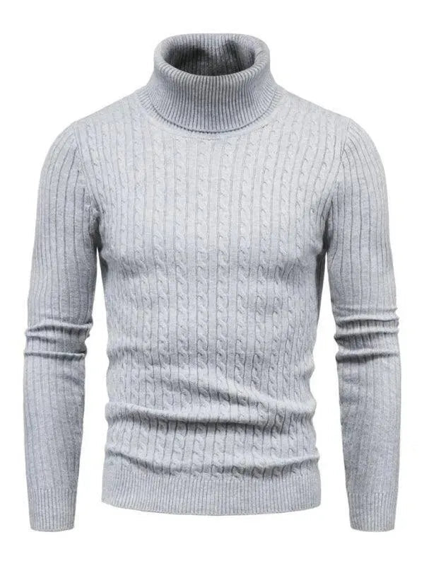 EB | Border Slim Fit Rollkragenpullover Herren