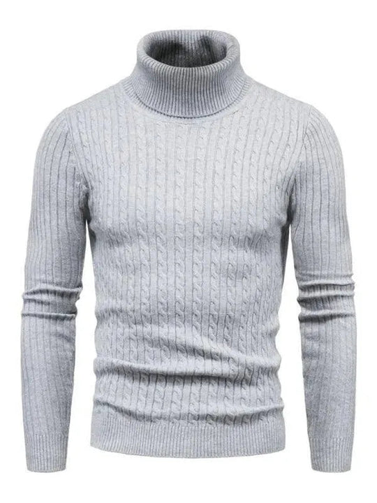 EB | Border Slim Fit Rollkragenpullover Herren