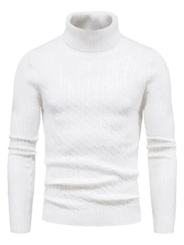 EB | Border Slim Fit Rollkragenpullover Herren