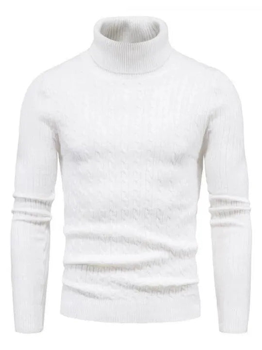 EB | Border Slim Fit Rollkragenpullover Herren