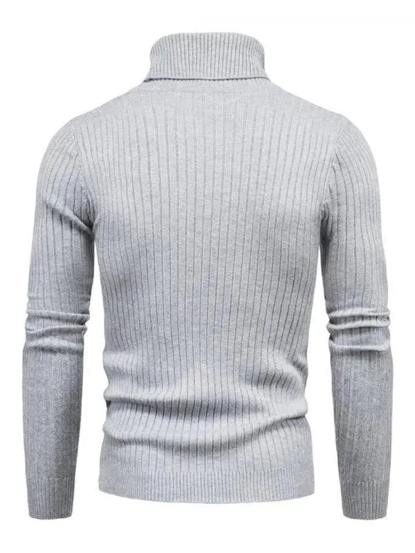 EB | Border Slim Fit Rollkragenpullover Herren