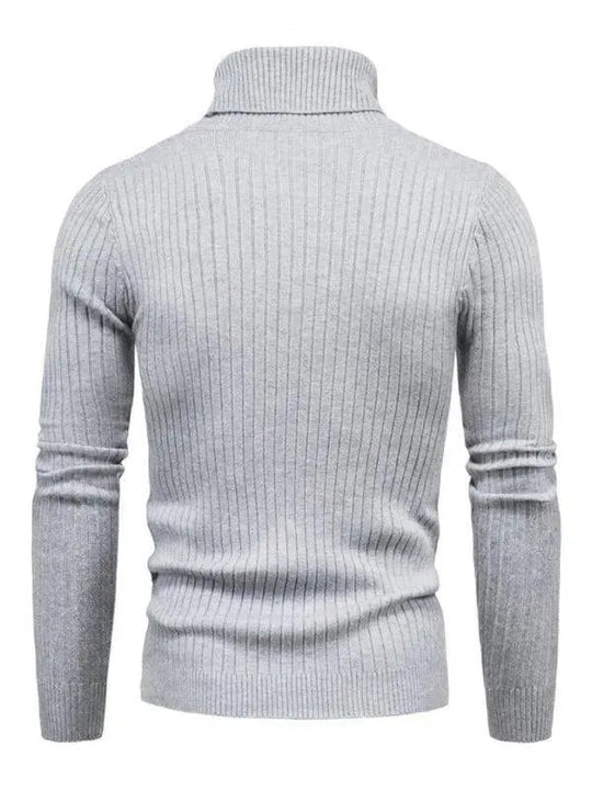 EB | Border Slim Fit Rollkragenpullover Herren