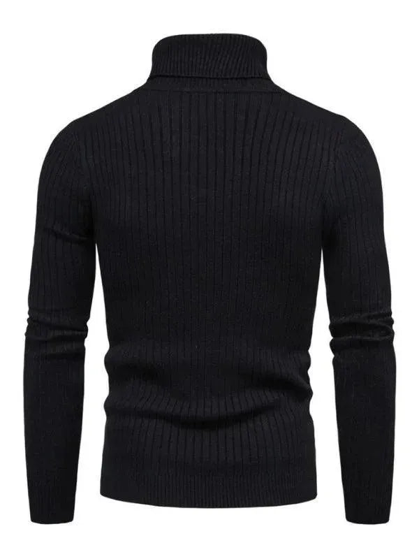 EB | Border Slim Fit Rollkragenpullover Herren