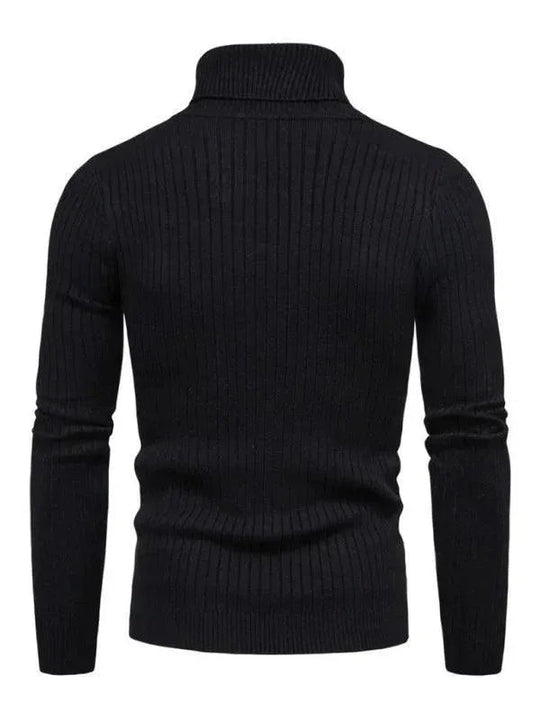 EB | Border Slim Fit Rollkragenpullover Herren