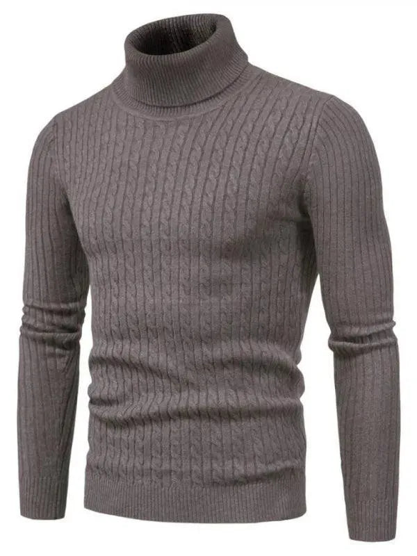 EB | Border Slim Fit Rollkragenpullover Herren