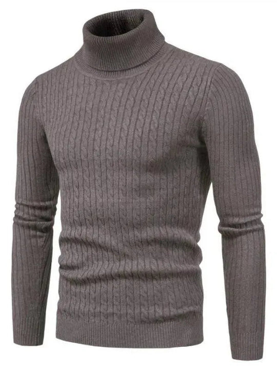 EB | Border Slim Fit Rollkragenpullover Herren
