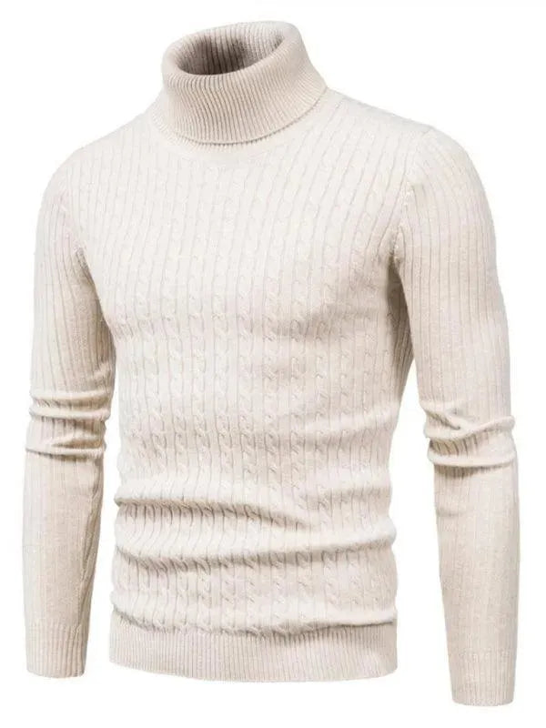 EB | Border Slim Fit Rollkragenpullover Herren