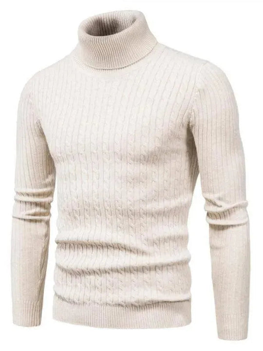 EB | Border Slim Fit Rollkragenpullover Herren