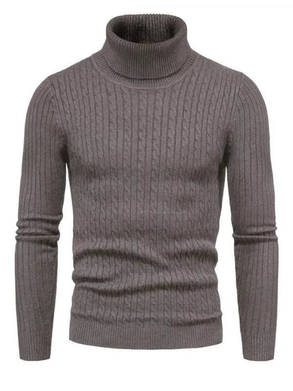 EB | Border Slim Fit Rollkragenpullover Herren