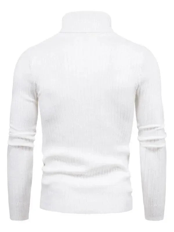 EB | Border Slim Fit Rollkragenpullover Herren