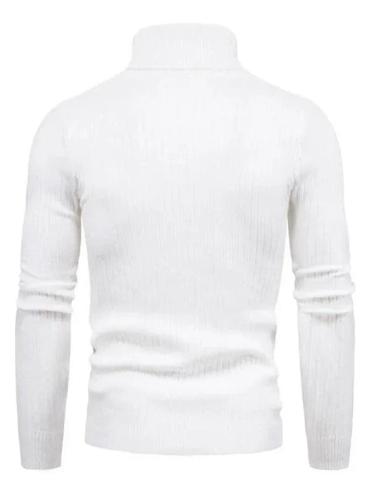 EB | Border Slim Fit Rollkragenpullover Herren