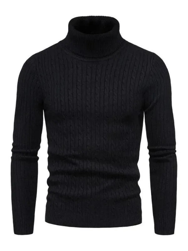 EB | Border Slim Fit Rollkragenpullover Herren