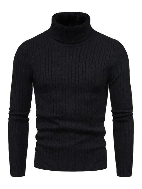 EB | Border Slim Fit Rollkragenpullover Herren