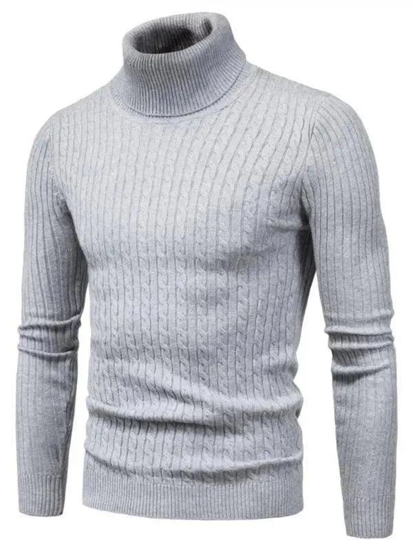 EB | Border Slim Fit Rollkragenpullover Herren