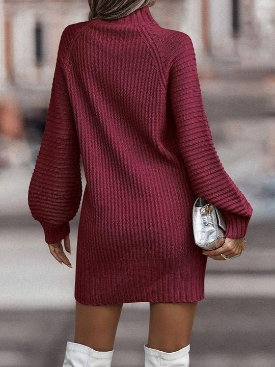 EB | Rollkragenpullover-Kleid