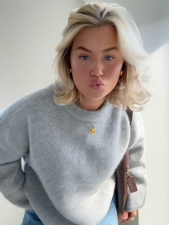 EB | weicher Mohair-Strickpullover