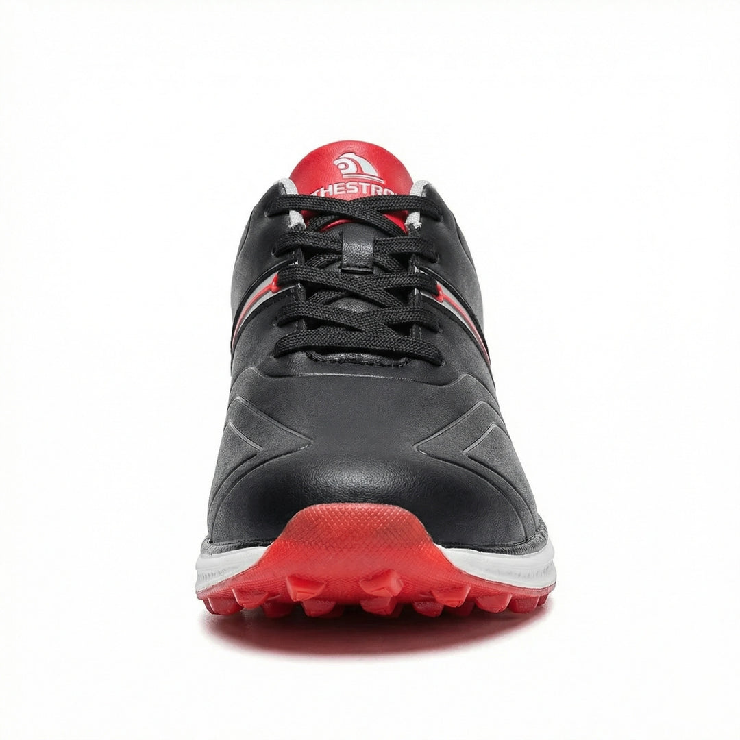 Professionelle Golfschuhe EB