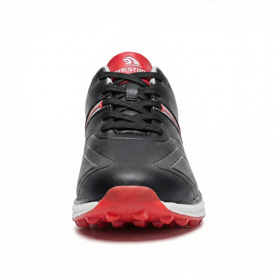 Professionelle Golfschuhe EB