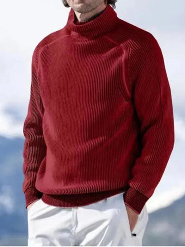 EB | Herren Rollkragenpullover