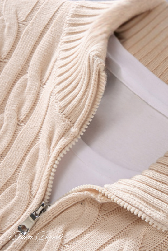 EB | Strick Herren Rollkragenpullover