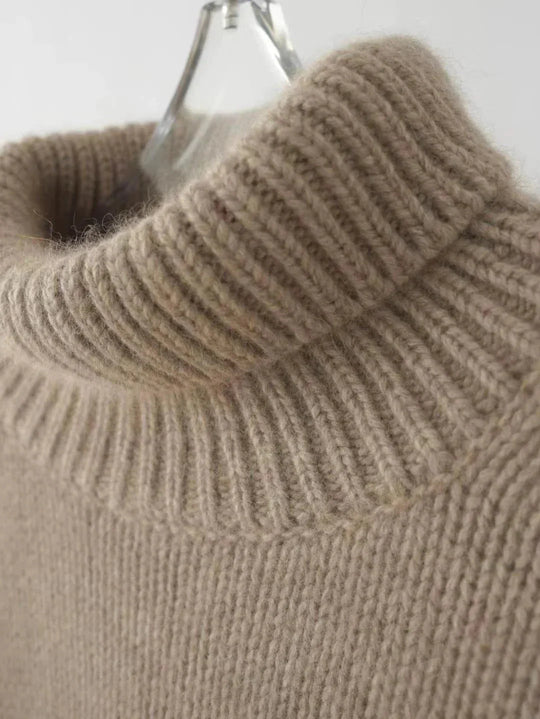 EB | Rollkragenpullover