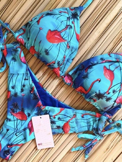 EB | Bikinis Satz Push up