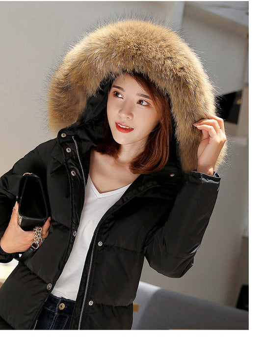 EB | Arctic Luxe - Elegante lange Jacke
