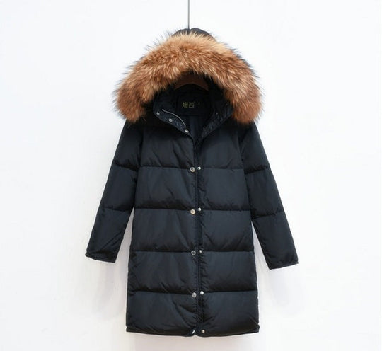 EB | Arctic Luxe - Elegante lange Jacke
