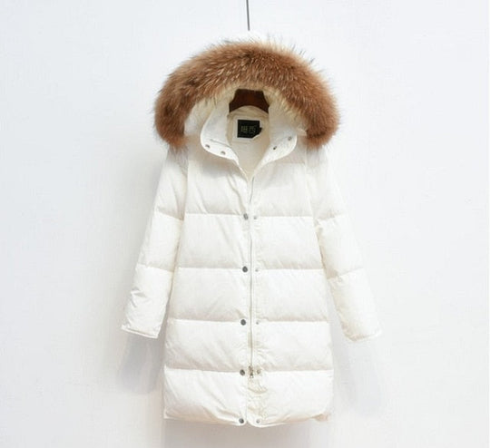 EB | Arctic Luxe - Elegante lange Jacke
