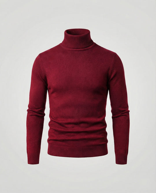 Herren Rollkragenpullover aus weichem Merinowolle EB